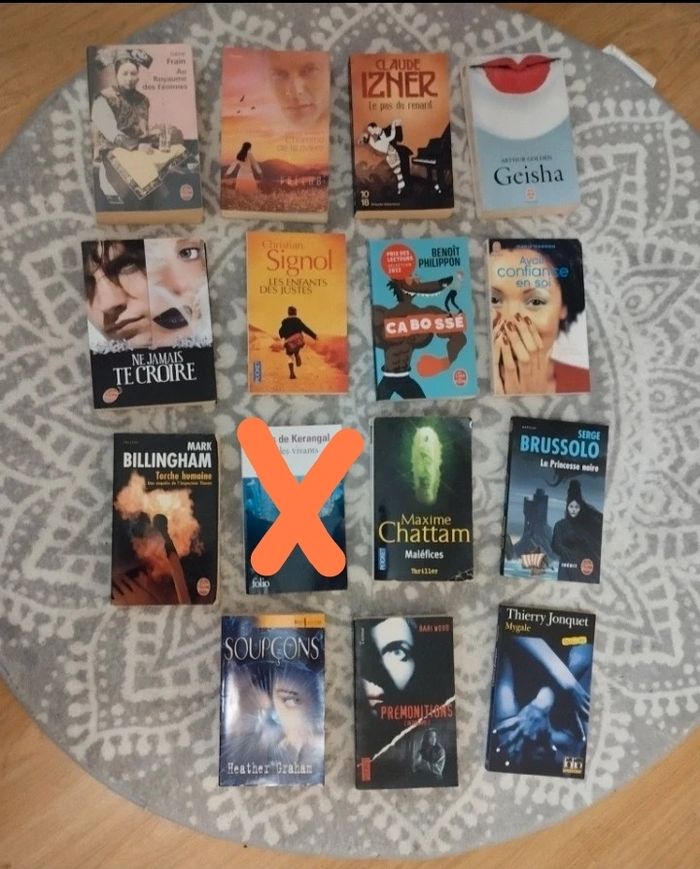 Lot de 14 livres