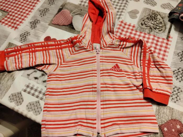 Veste adidas 6 mois