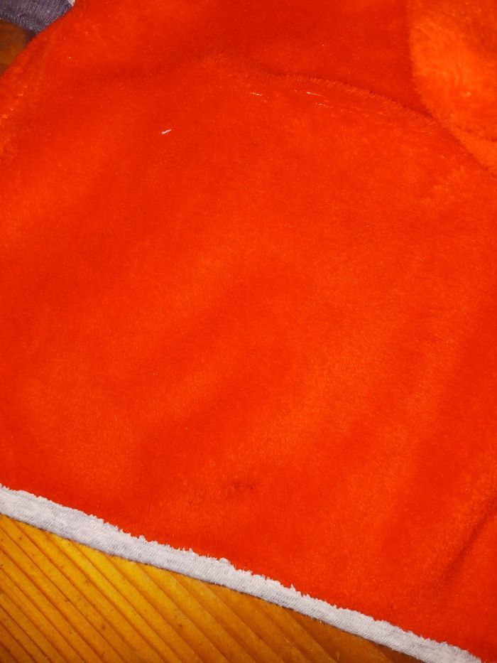 Polaires garçon - 18 mois - photo numéro 6