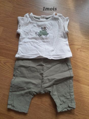 Ensemble tortue 1mois 