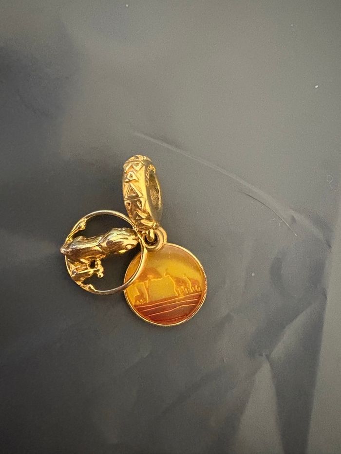 Charm pandora - photo numéro 2