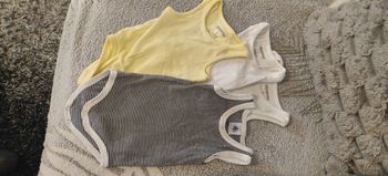 Lot 8 body sans manches 3 mois