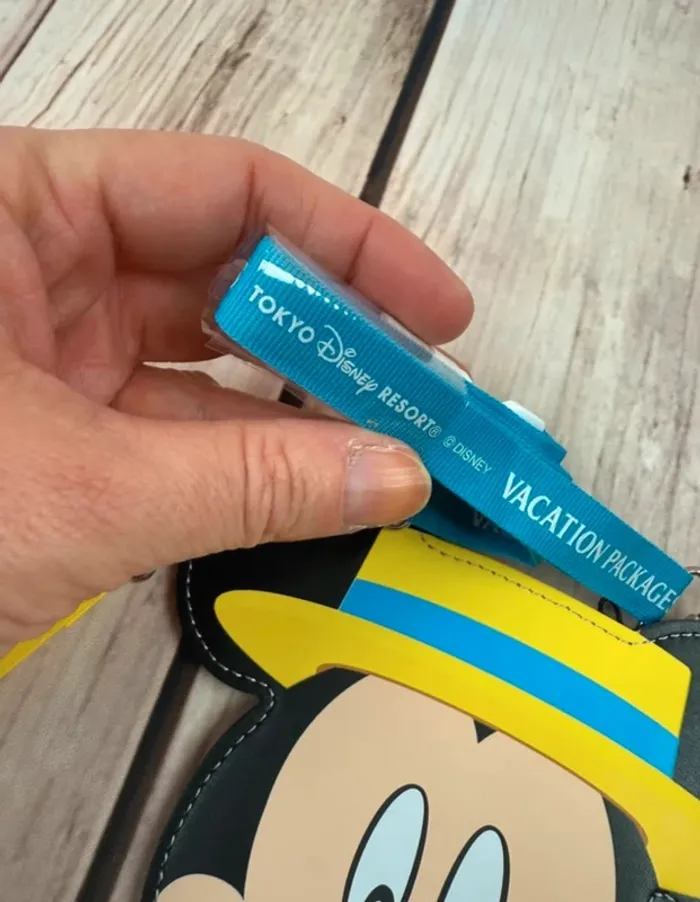 Lanière porte pass annuel (ou magic pass) disney Tokyo Disney resort Japon - photo numéro 4