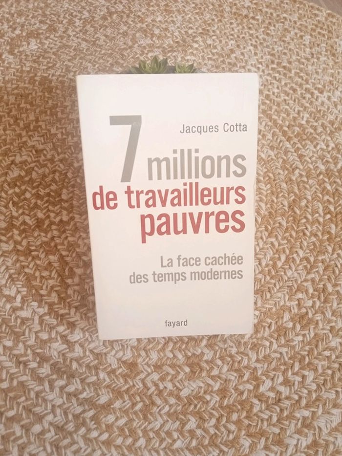 7 Millions de travailleurs pauvres - photo numéro 2