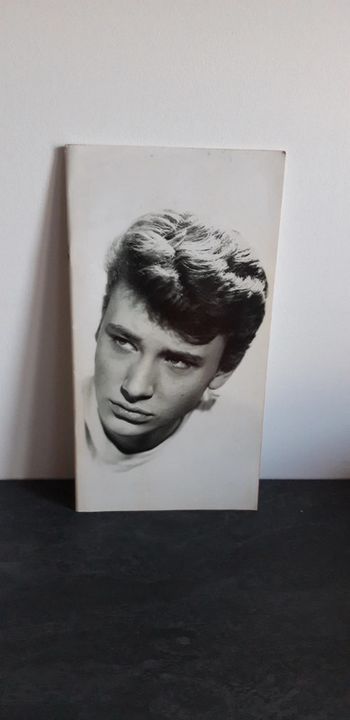 Livre Johnny Hallyday