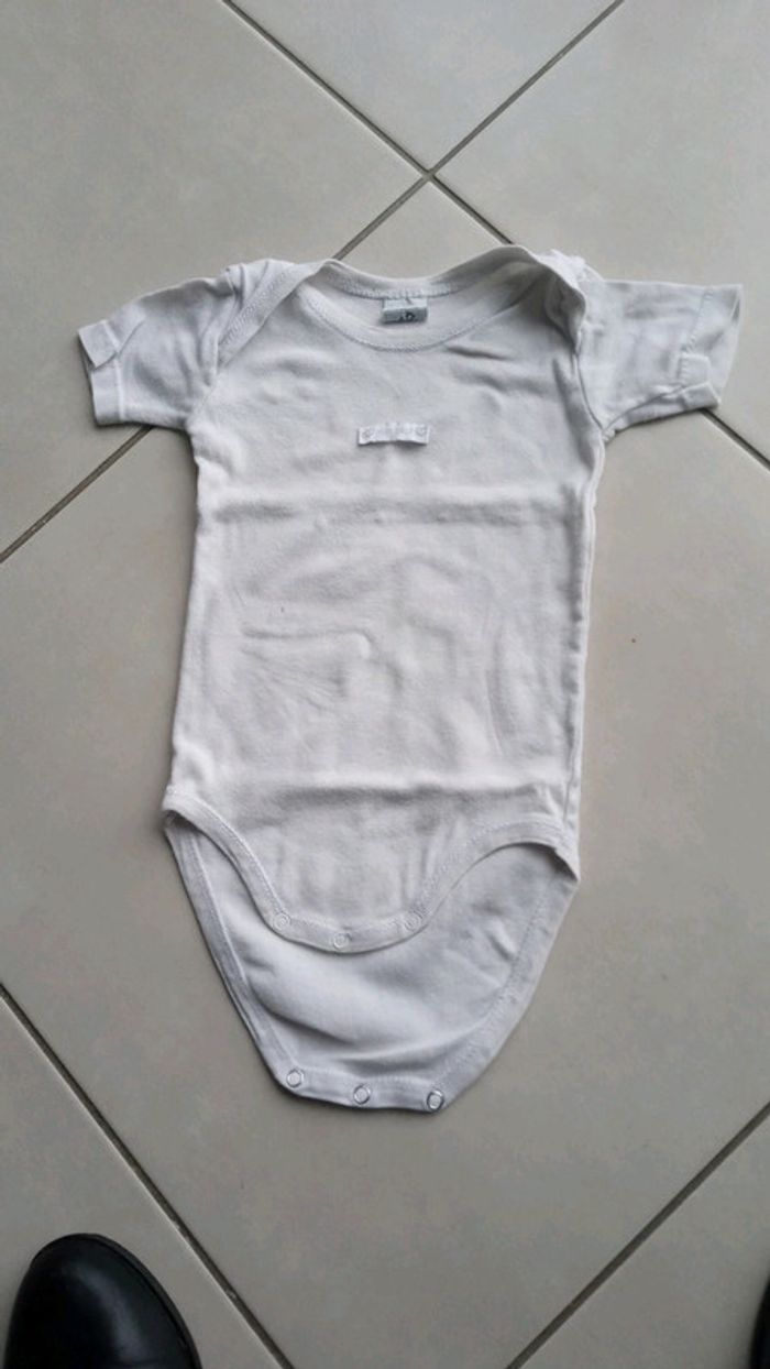 Lot de 2 bodys manches courtes - photo numéro 2