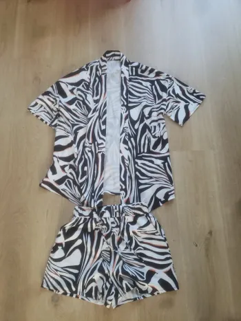 Ensemble zèbre