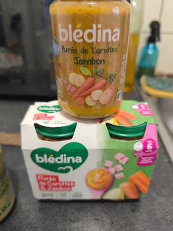Bledina 