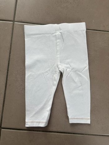Legging
