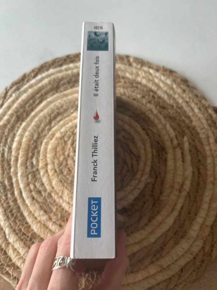 Thriller Il était deux fois de Franck Thilliez - photo numéro 3