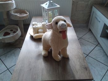 Peluche chien