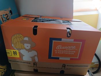 Gros lot de vêtements taille S