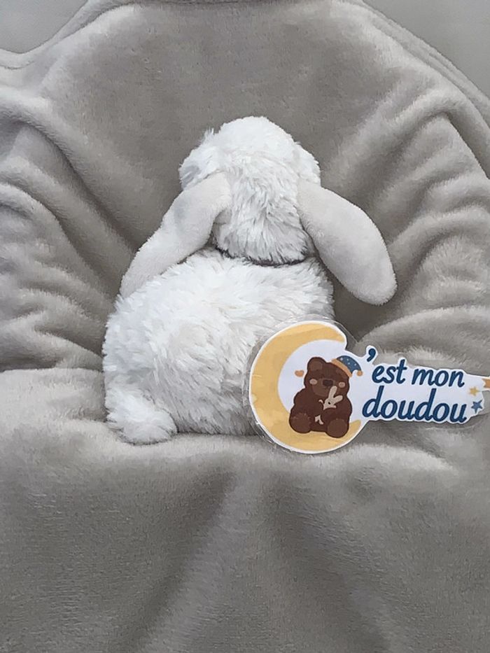 TEX54 doudou lapin tex - photo numéro 2