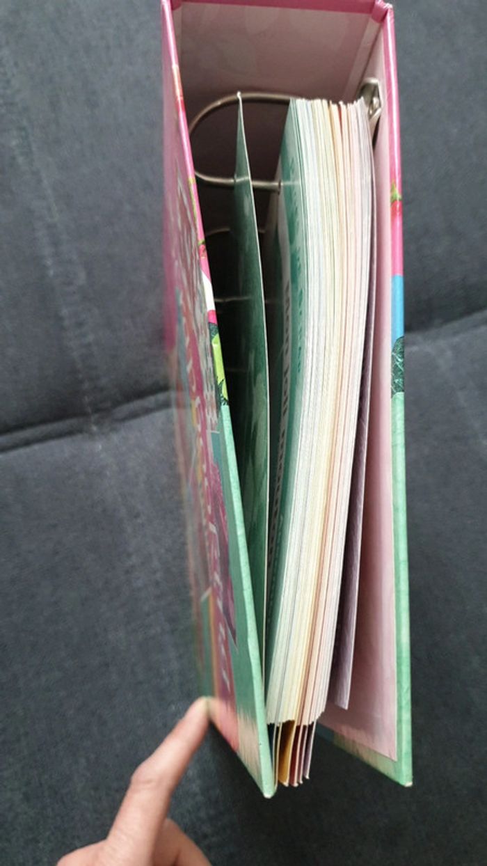 Classeur Scrapbooking le plaisir du papier - photo numéro 7