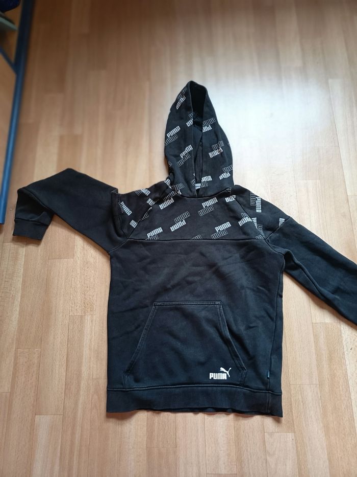 Pull puma - photo numéro 2