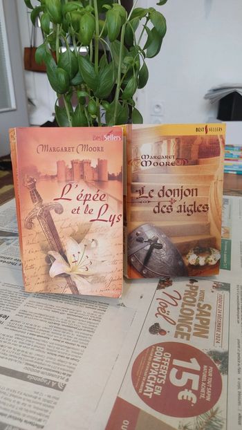 Lot de deux romans d'amour historique best-seller harlequin