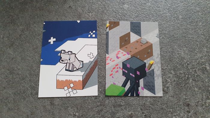 2 cartes Minecraft neuves