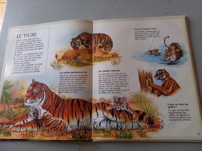 Les fauves - photo numéro 6