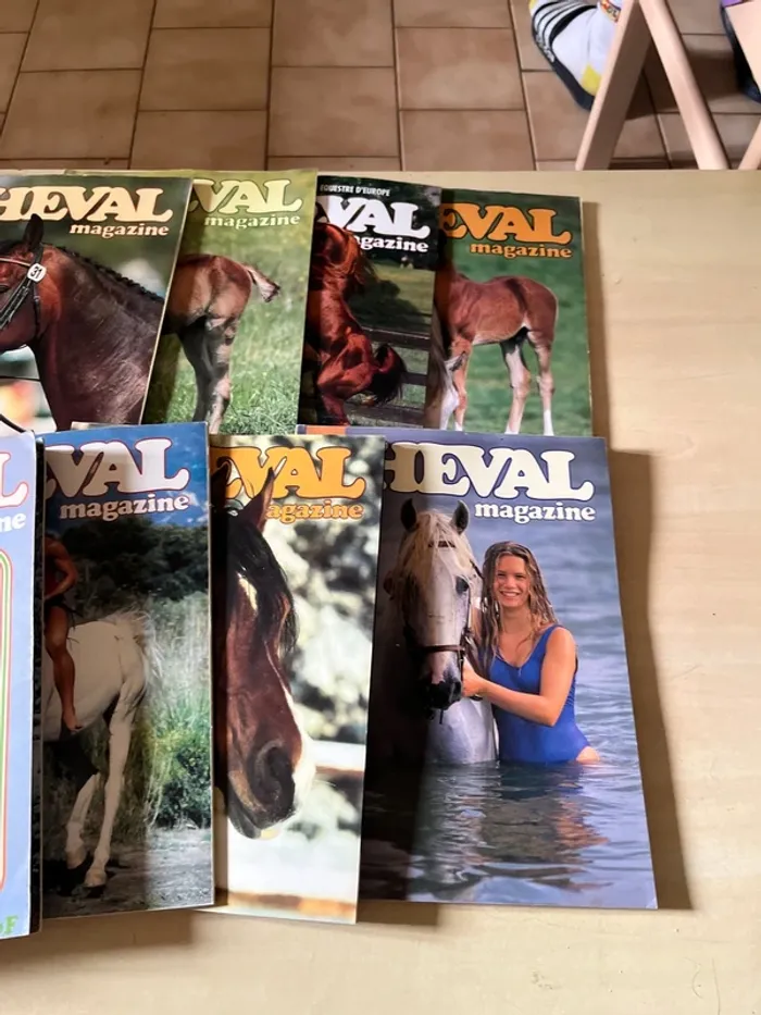 Lot de 10 anciens magazines sur les chevaux - photo numéro 2
