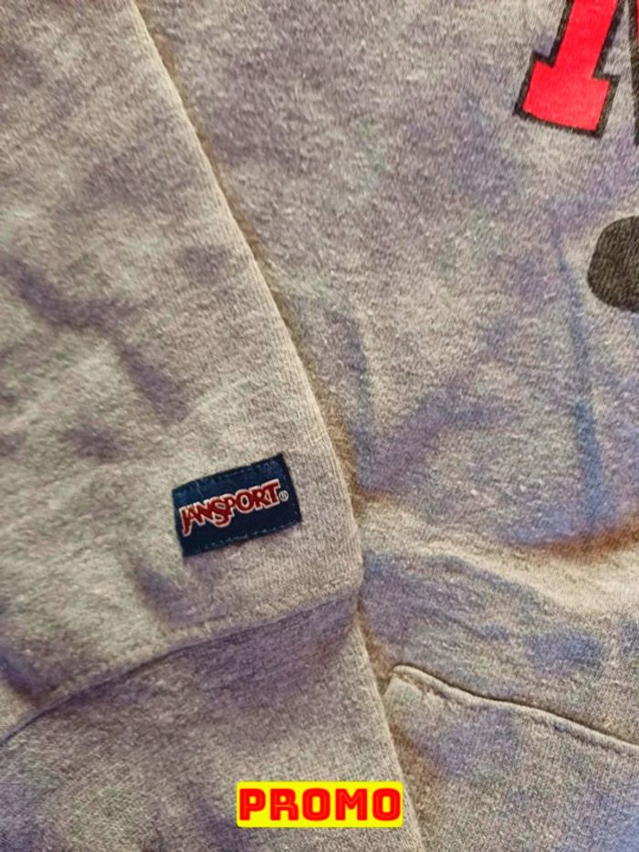 Magnifique sweat à capuche Universitaire Jansport taille M - photo numéro 3