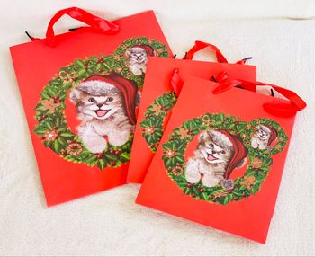 Lot de 3 pochettes rouges chats Noel Vitrine Magique