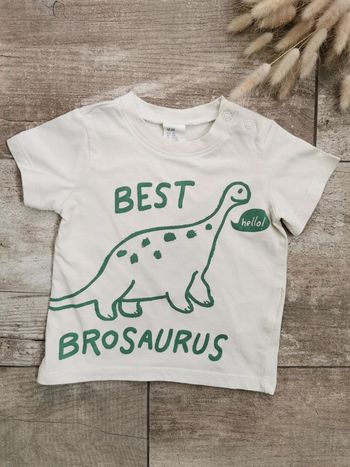 🌺HetM Très joli Teeshirt 6mois dinosaure beige et vert best brosaurus