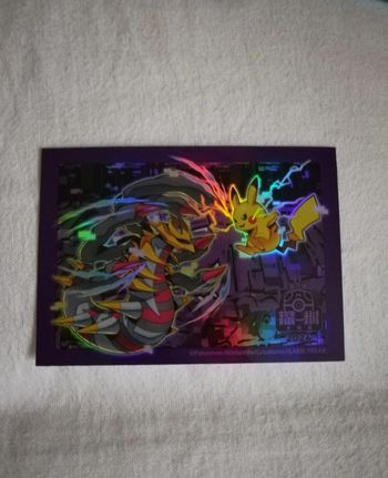 1 sleeve pokemon