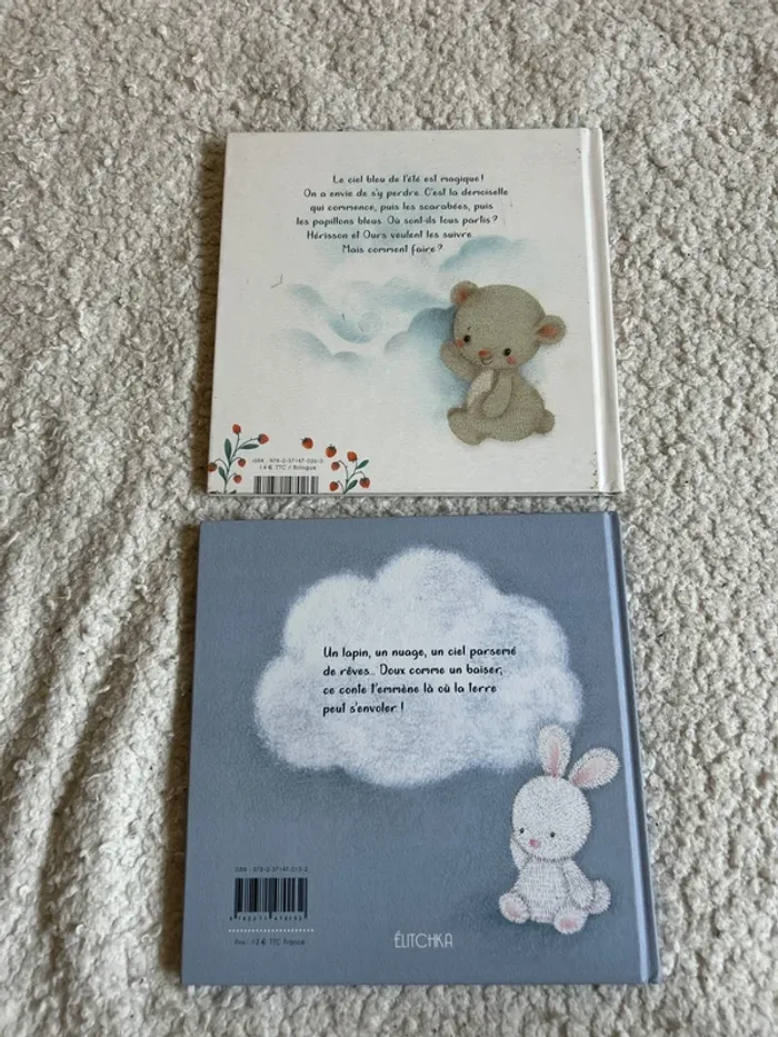 Lot de deux albums - photo numéro 4