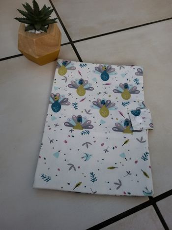 protege carnet de sante