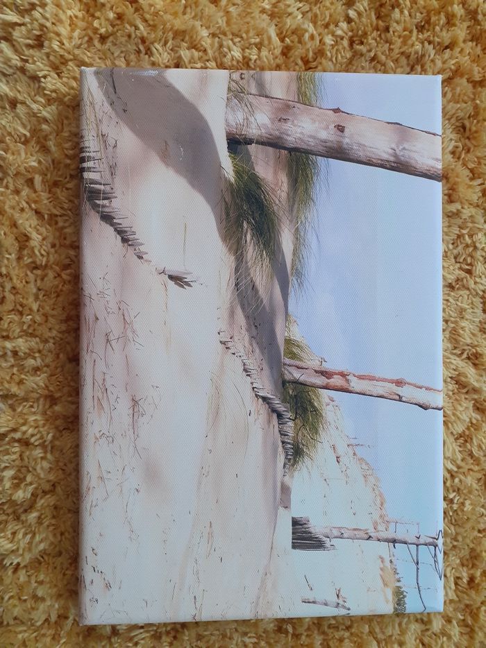 Toile photo Dune - photo numéro 1