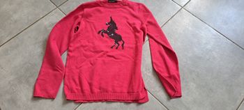Pull licorne