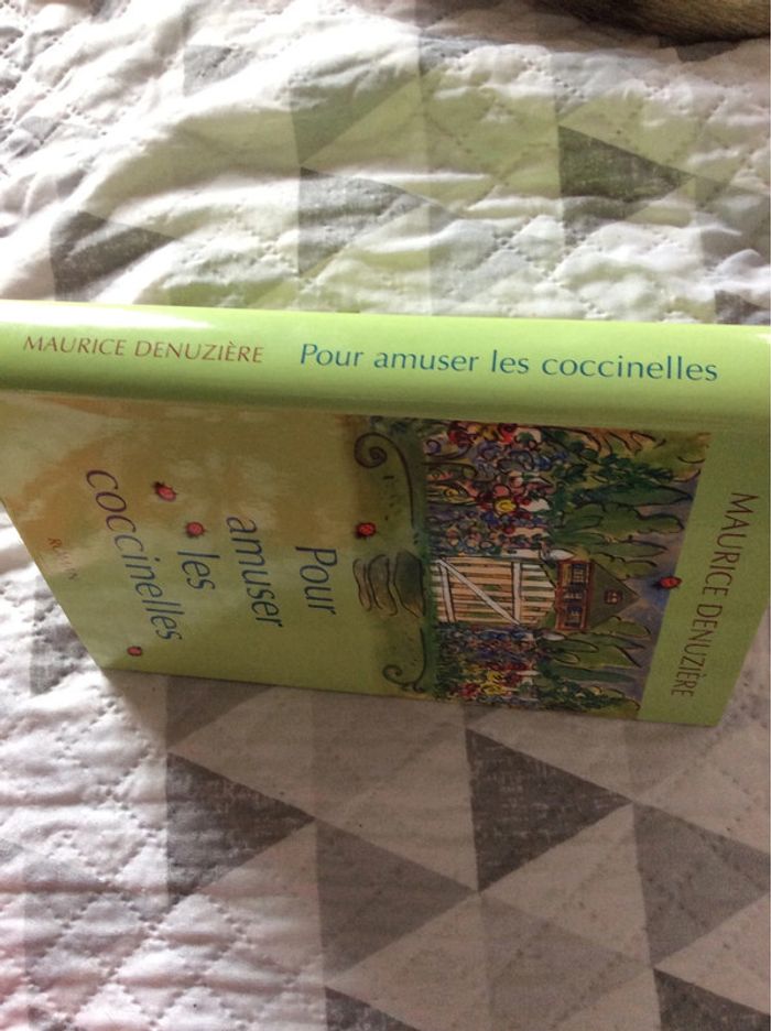 #pour amuser les coccinelles Maurice Denuziēre - photo numéro 4