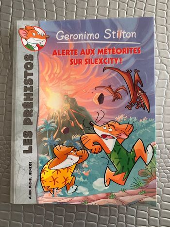 Livre : Alerte aux météorites sur Silexcity !