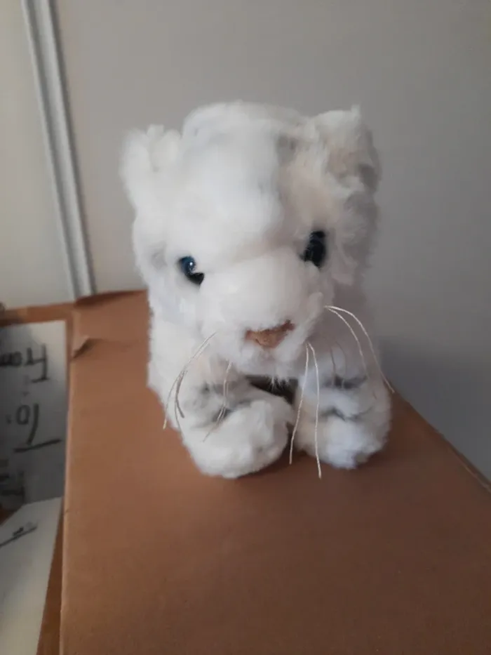 Peluche - photo numéro 4