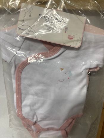 Lot de 2 bodies « Sauthon »
