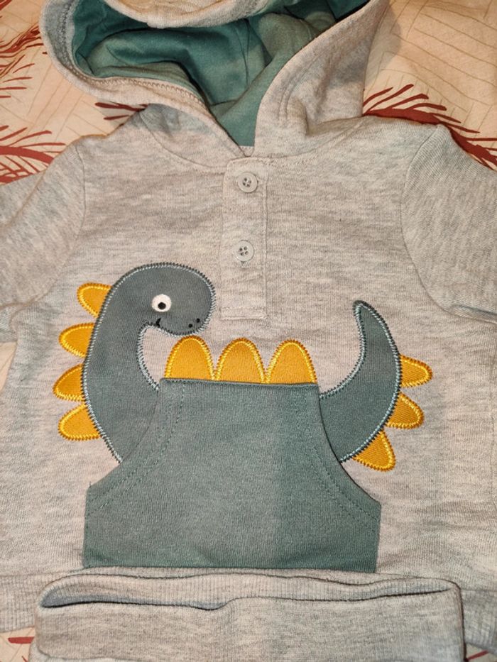 Ensemble dino - photo numéro 2