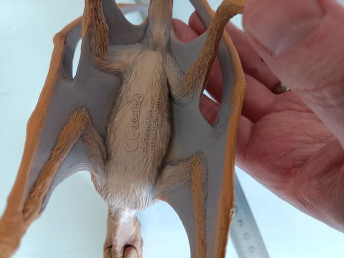 Dinosaure - photo numéro 6