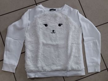 Pull fille 10-12 ans