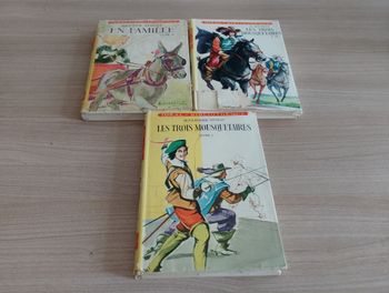 Lot de 3 livres, Dumas, Malot (idéal bibliothèque)(8)