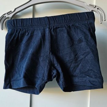 Short leger
