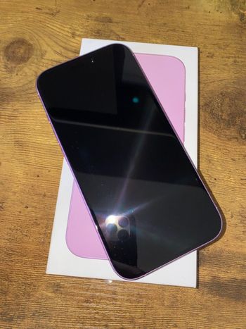Iphone 16 Rose