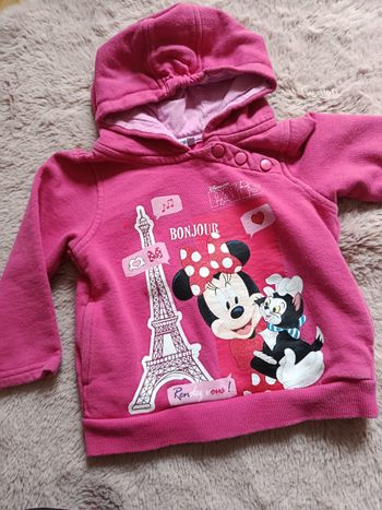 Pull a capuche - taille 24 mois