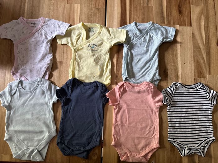 7 bodies