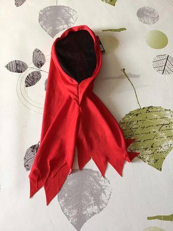 Cagoule déguisement taille unique