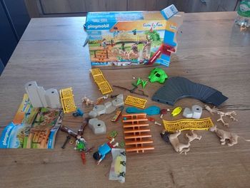 Playmobil family fun