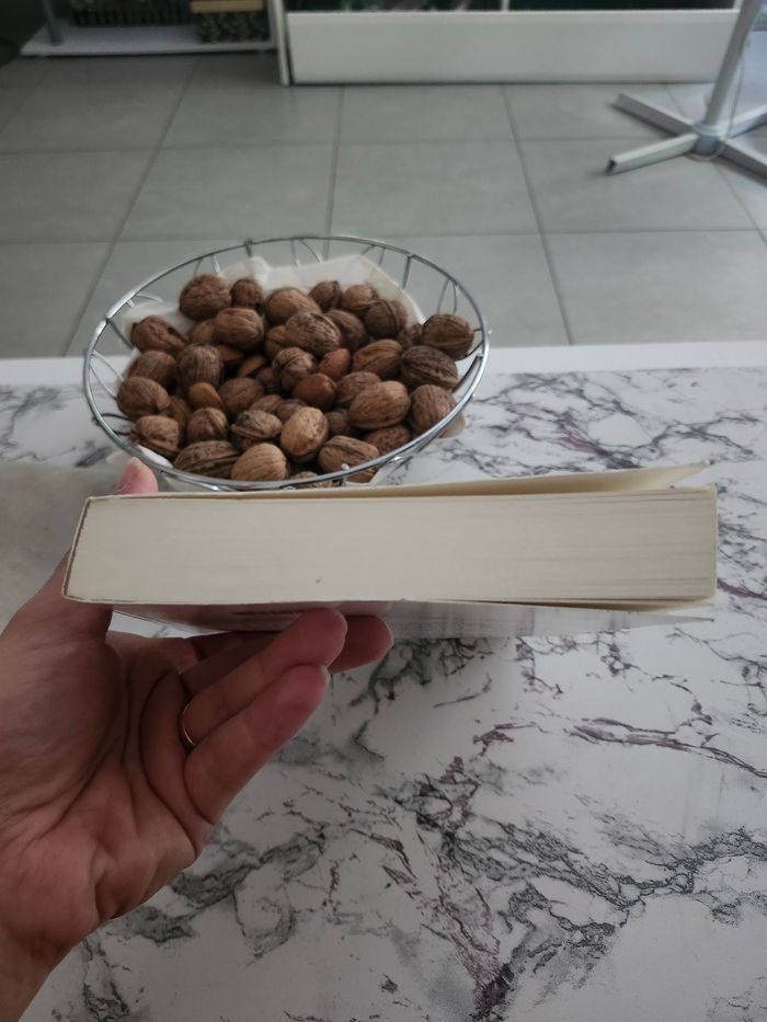 Luce Buchheit - Souvenirs sans filet - photo numéro 4