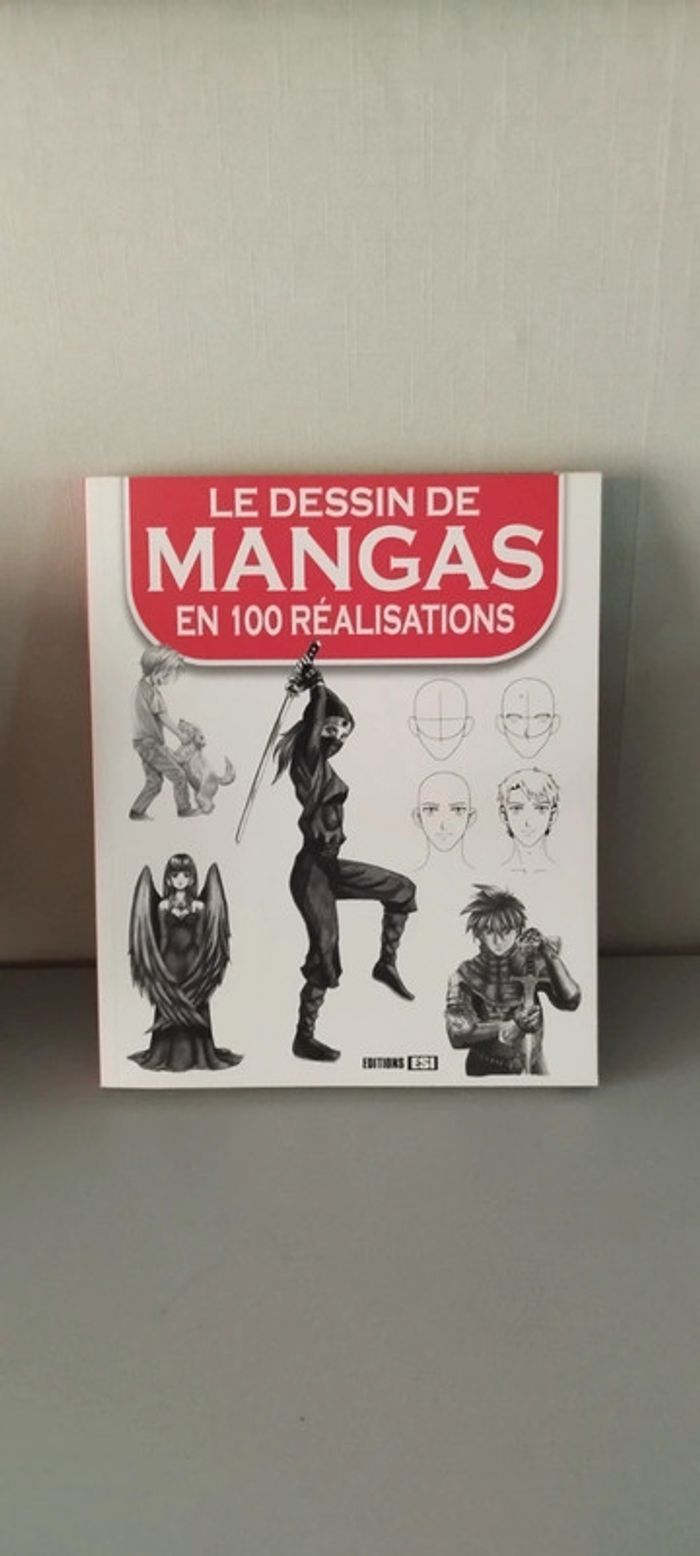 Le dessin de Mangas en 100 réalisation