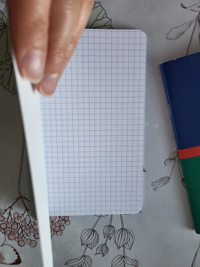 Lot de 3 petits carnets - photo numéro 9