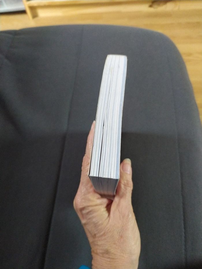 La Peau de chagrin de Balzac - photo numéro 4