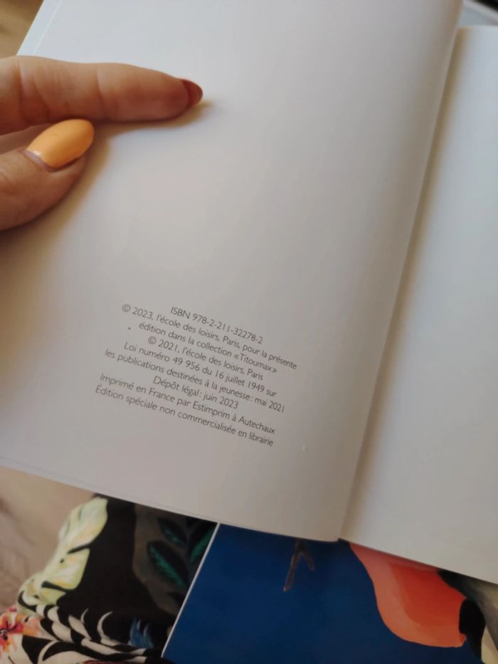 Livre "les grandes vacances du souriceau" - photo numéro 3